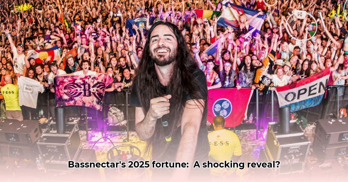 bassnectar-net-worth